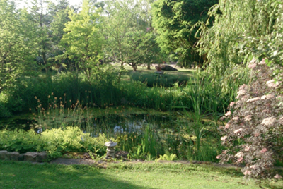 aktuell-garten.jpg